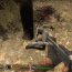 Left 4 Dead Left 4 Dead