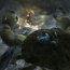 Faery: Legends of Avalon Review