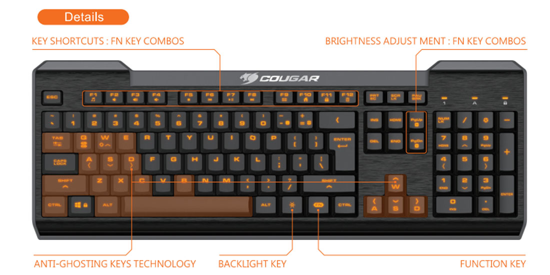 cougar-anti-ghosting